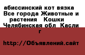 абиссинский кот вязка - Все города Животные и растения » Кошки   . Челябинская обл.,Касли г.